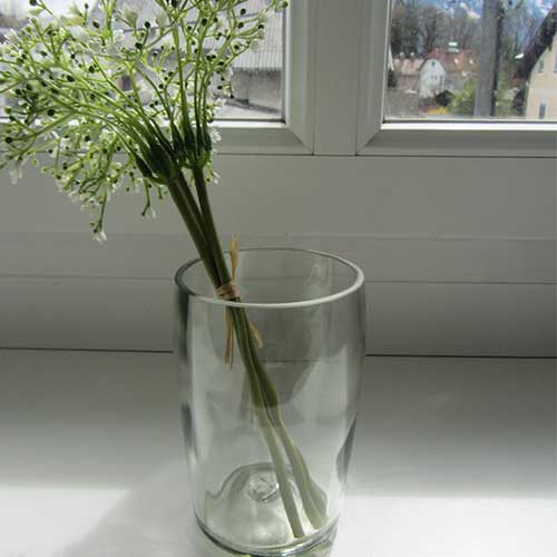 I was a bottle: Glas-Flaschen - Lampen und Leuchten, Laternen, Gläser, Vasen und Schalen aus Glas: Vase mit Blumen